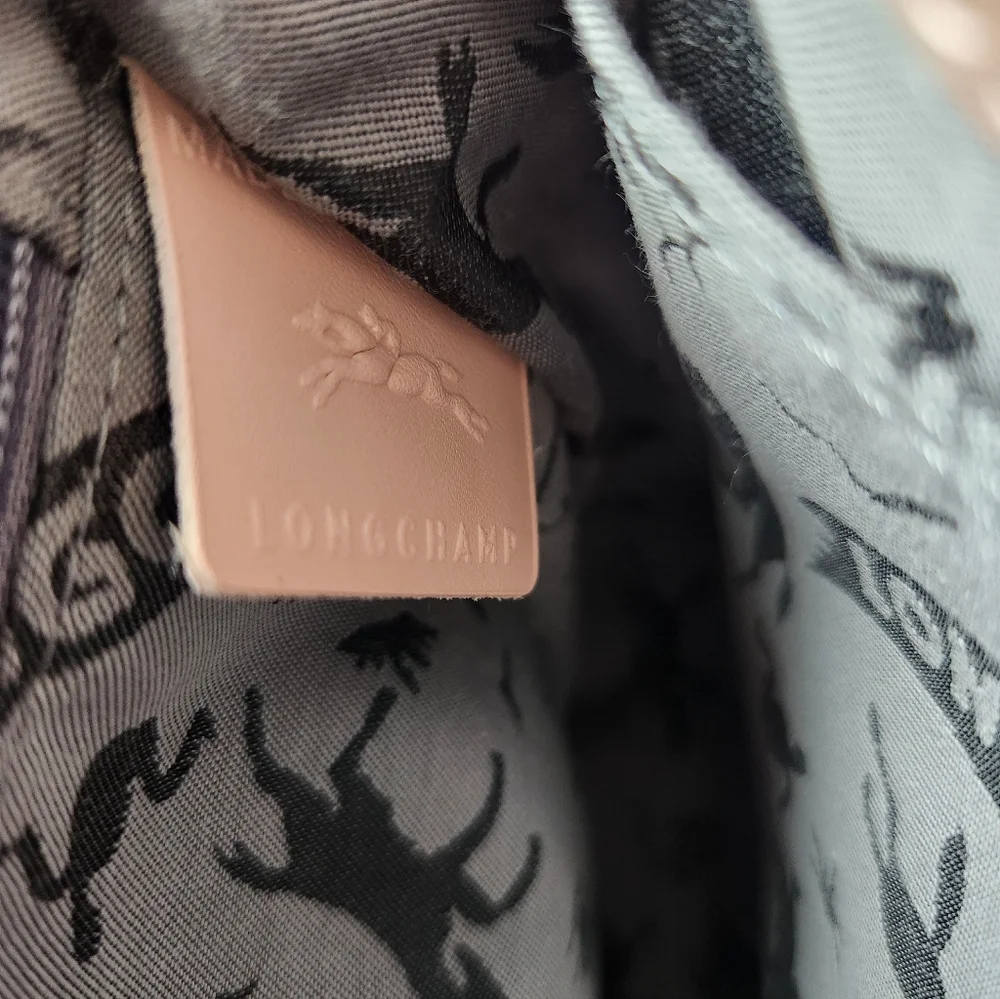 Longchamp Leathet Saddle Crossbody Bag in Blush Pink, Brand New - Picture 9 of 13